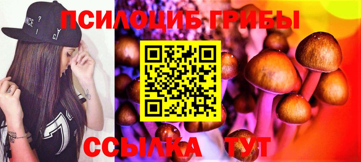 Псилоцибиновые грибы Cubensis  Вход с VPN  Александров 